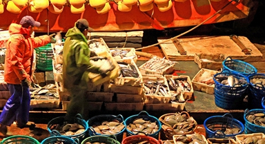 浙江玉環(huán)：漁獲豐收